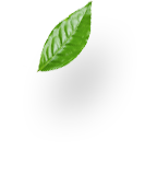 revslider_h14-shape3.png