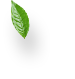 revslider_h14-shape4.png